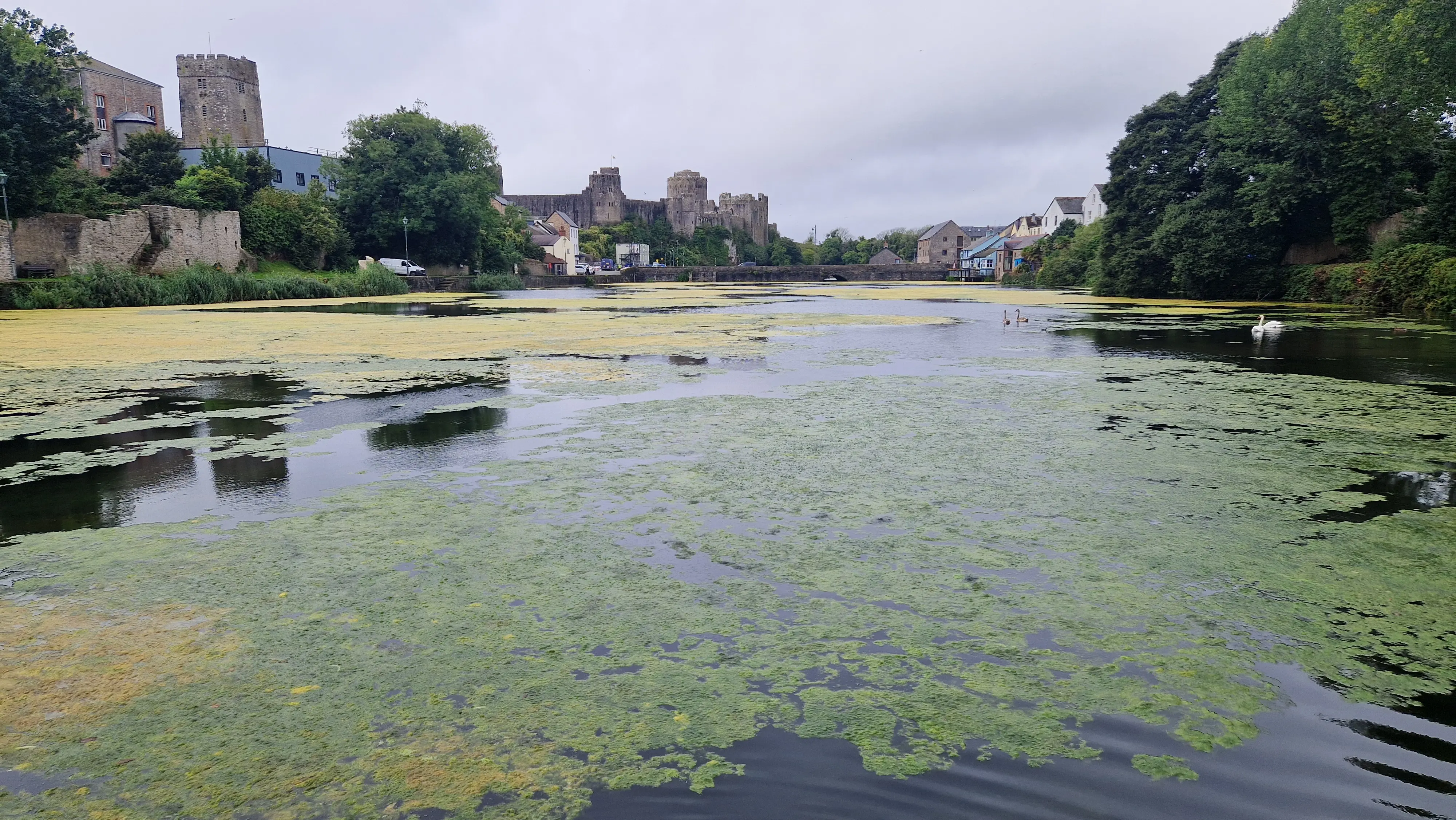 Castle with heavy algae growth in front