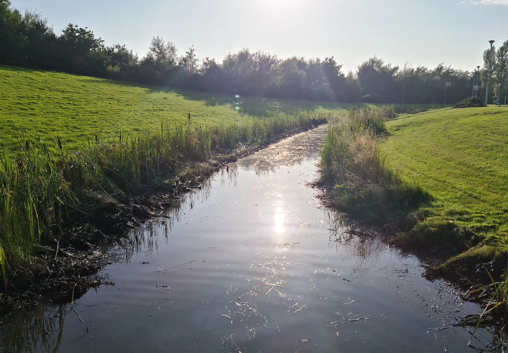 Airport drainage following bulrush removal