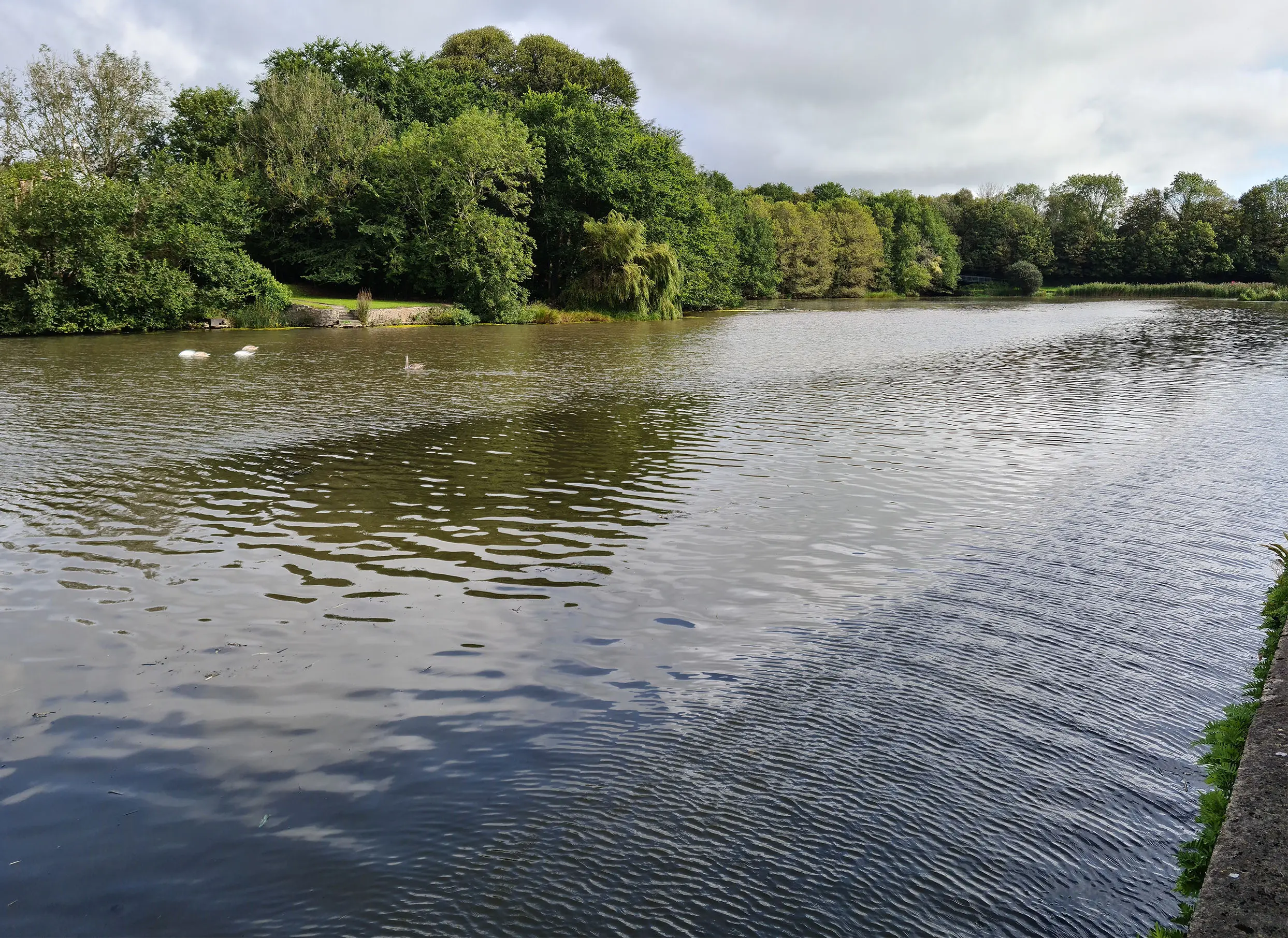 Restored open water following algae removal