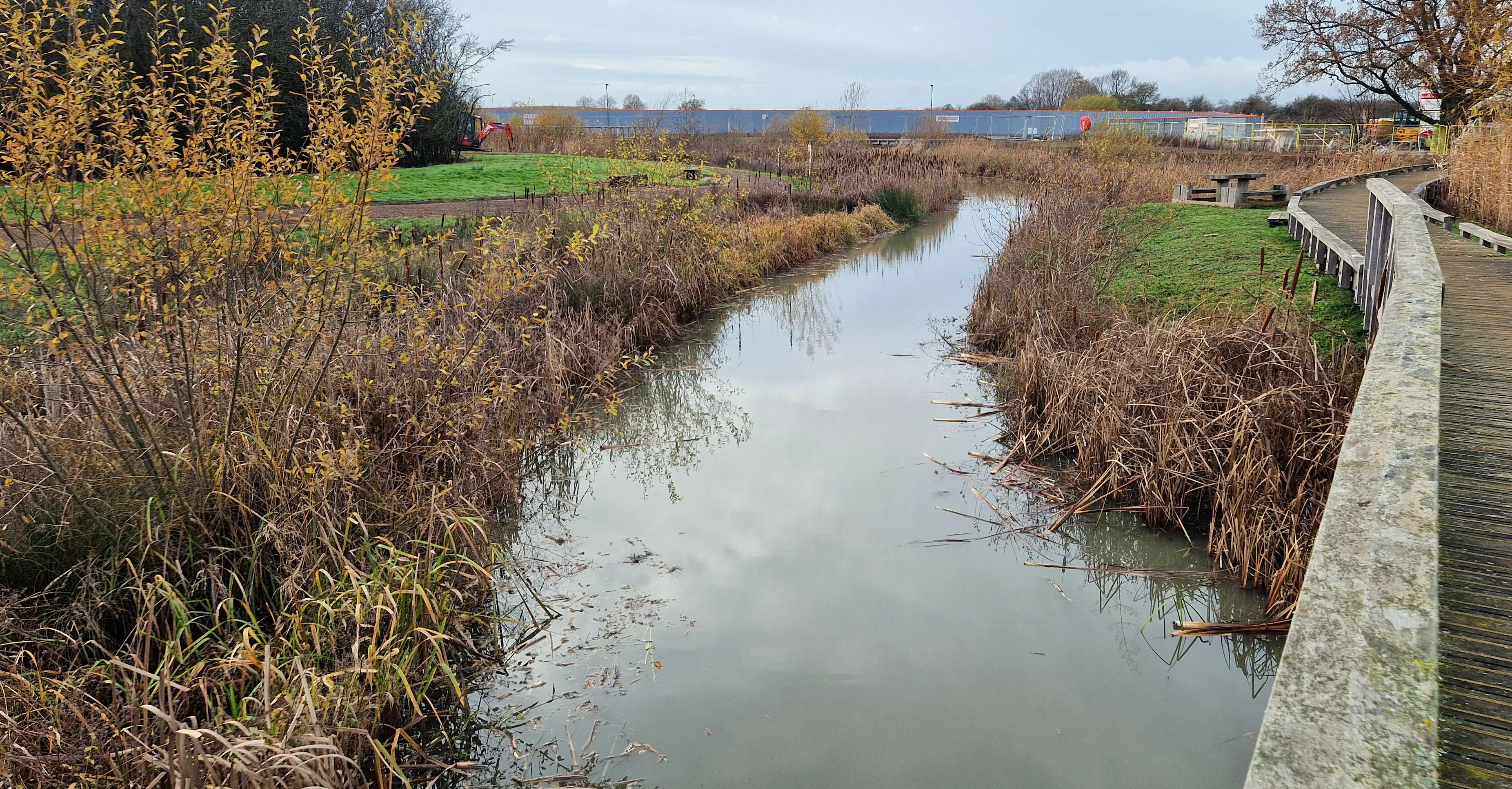 Bulrush Removal for Sustainable Drainage Systems