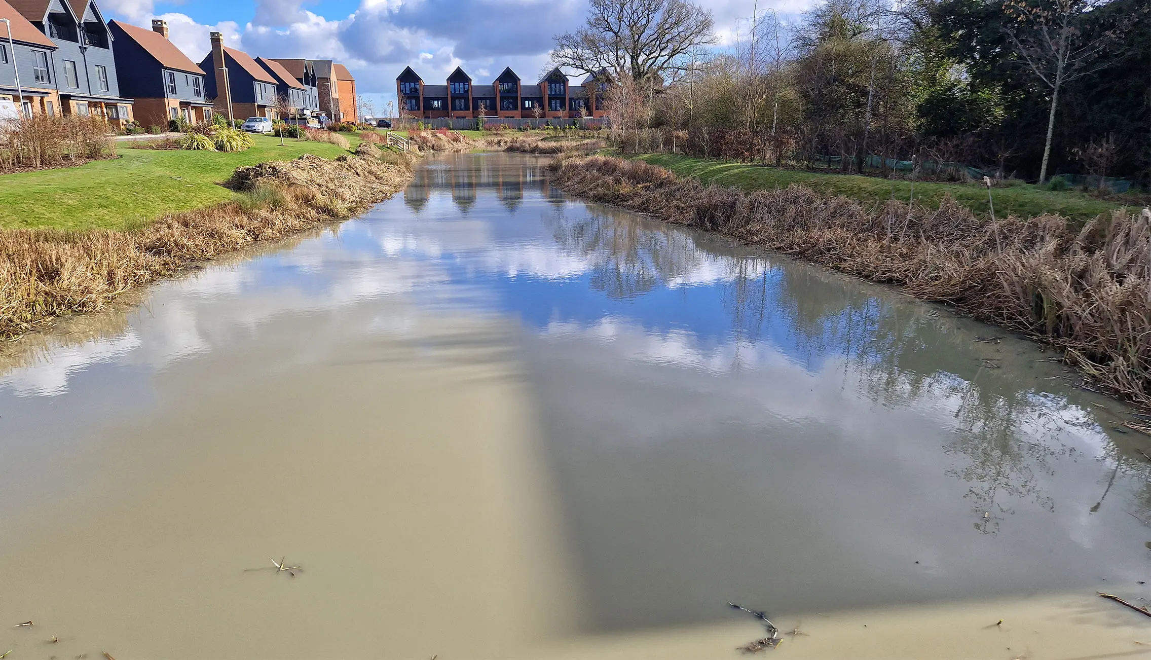 Open water restored following bulrush management