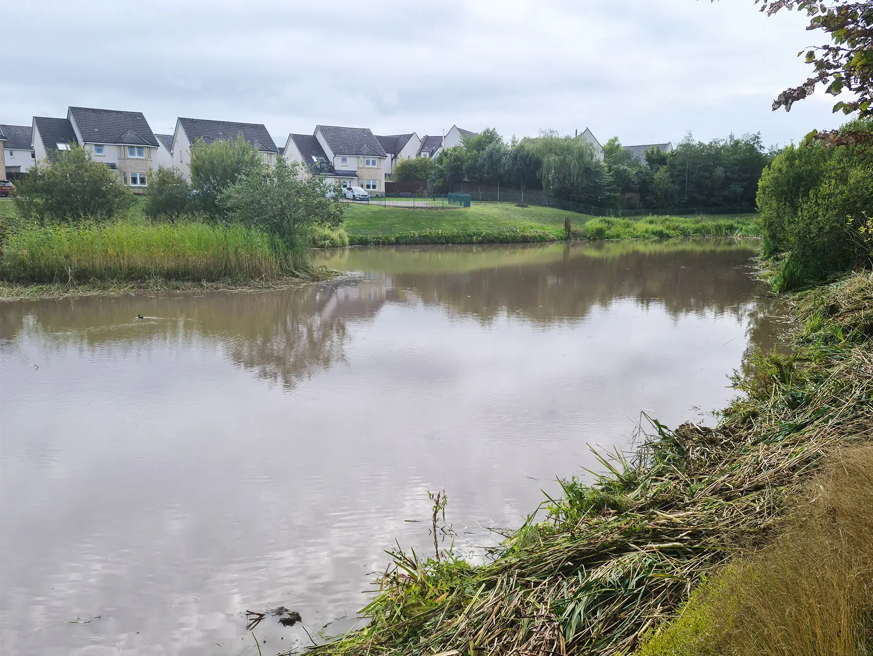 Waterway after targeted bulrush and bur-reed clearance