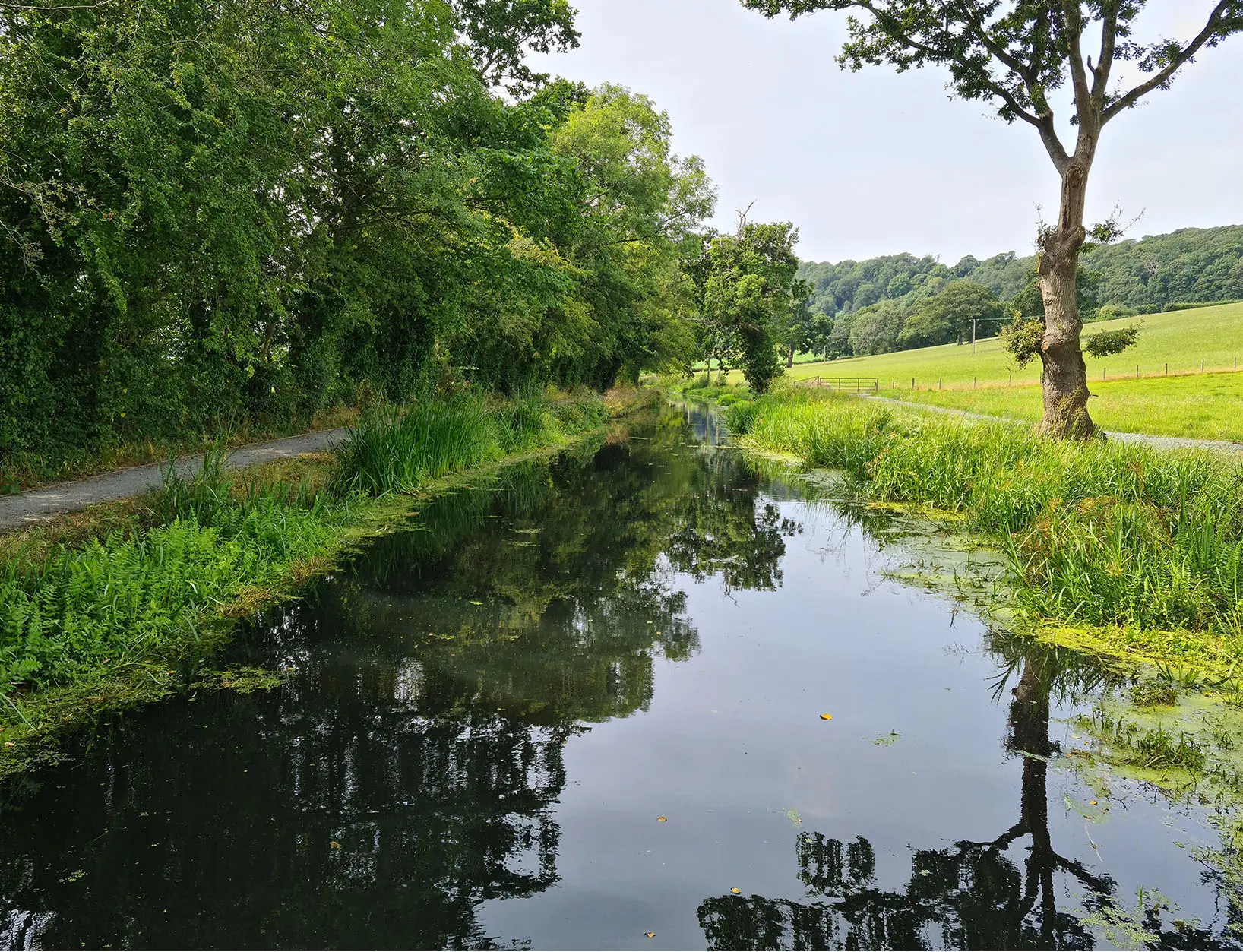 Public canal following vegetation and algae clearance