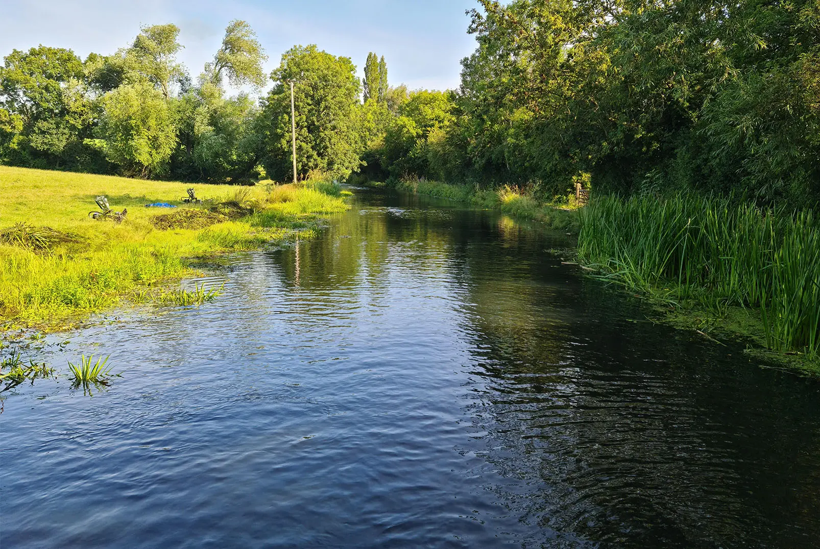 After cutting aquatic vegetation