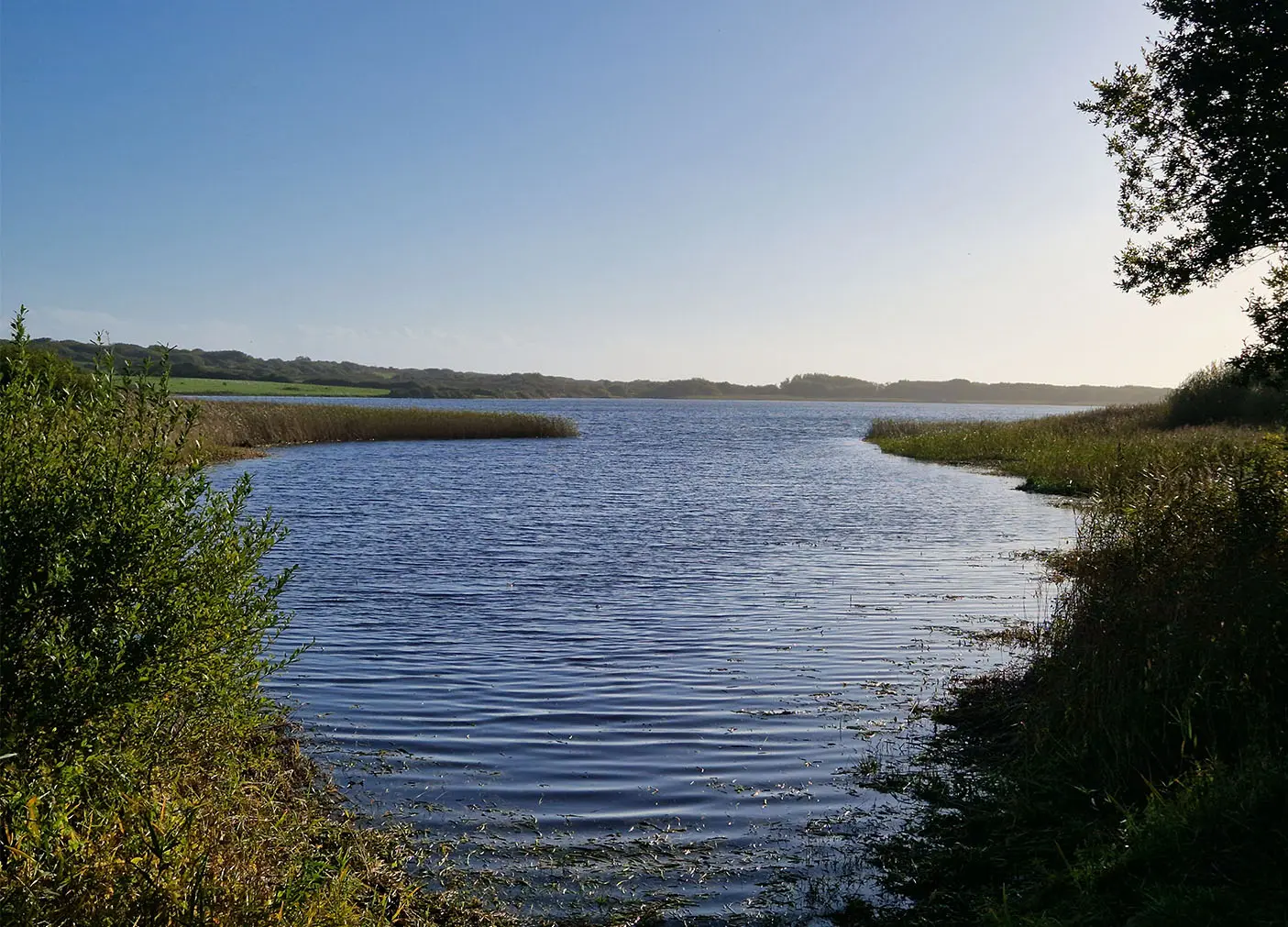Cleared reed bed reopening waterways and open water