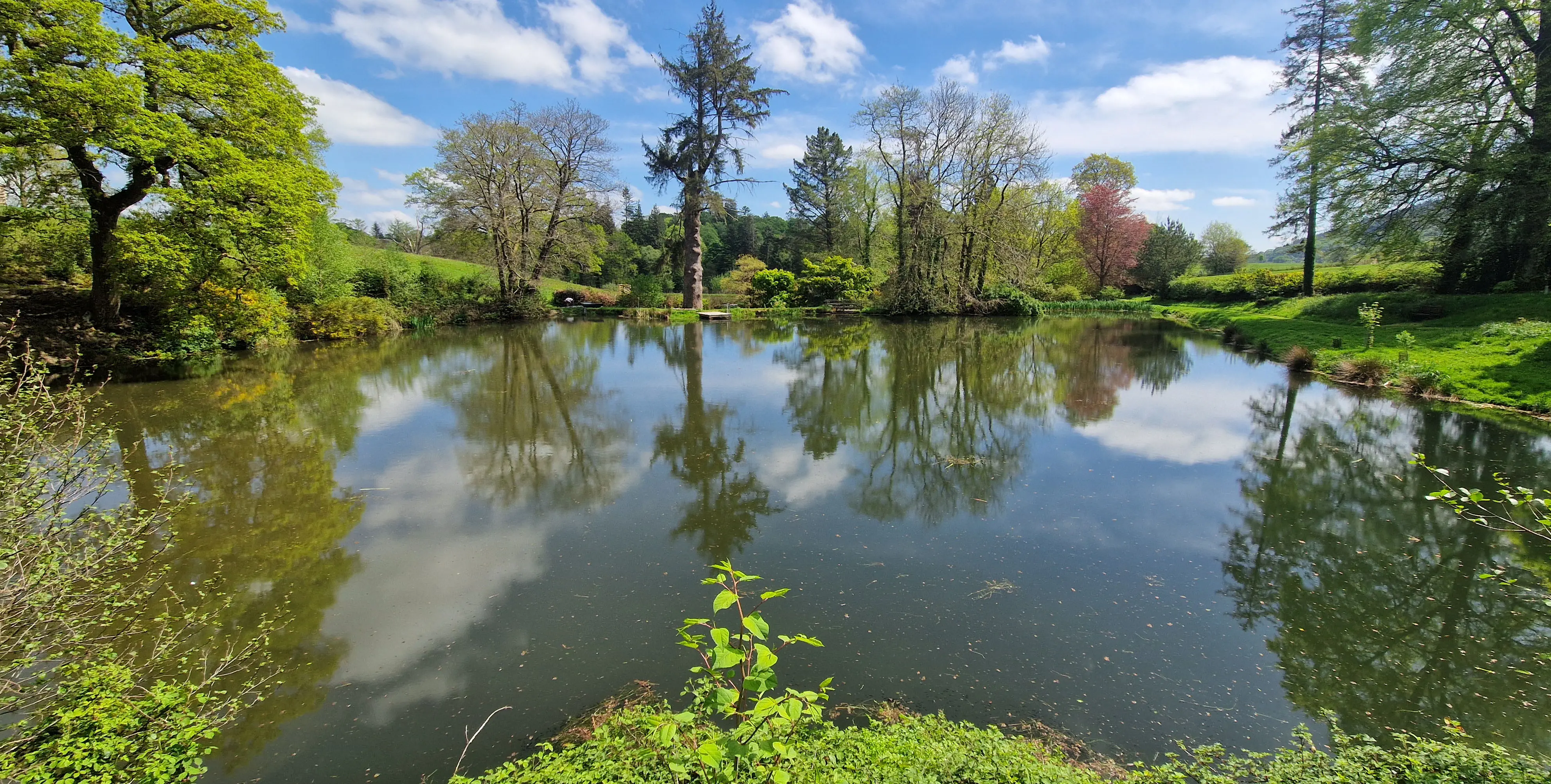 After carrying out aquatic weed cutting on a private lake
