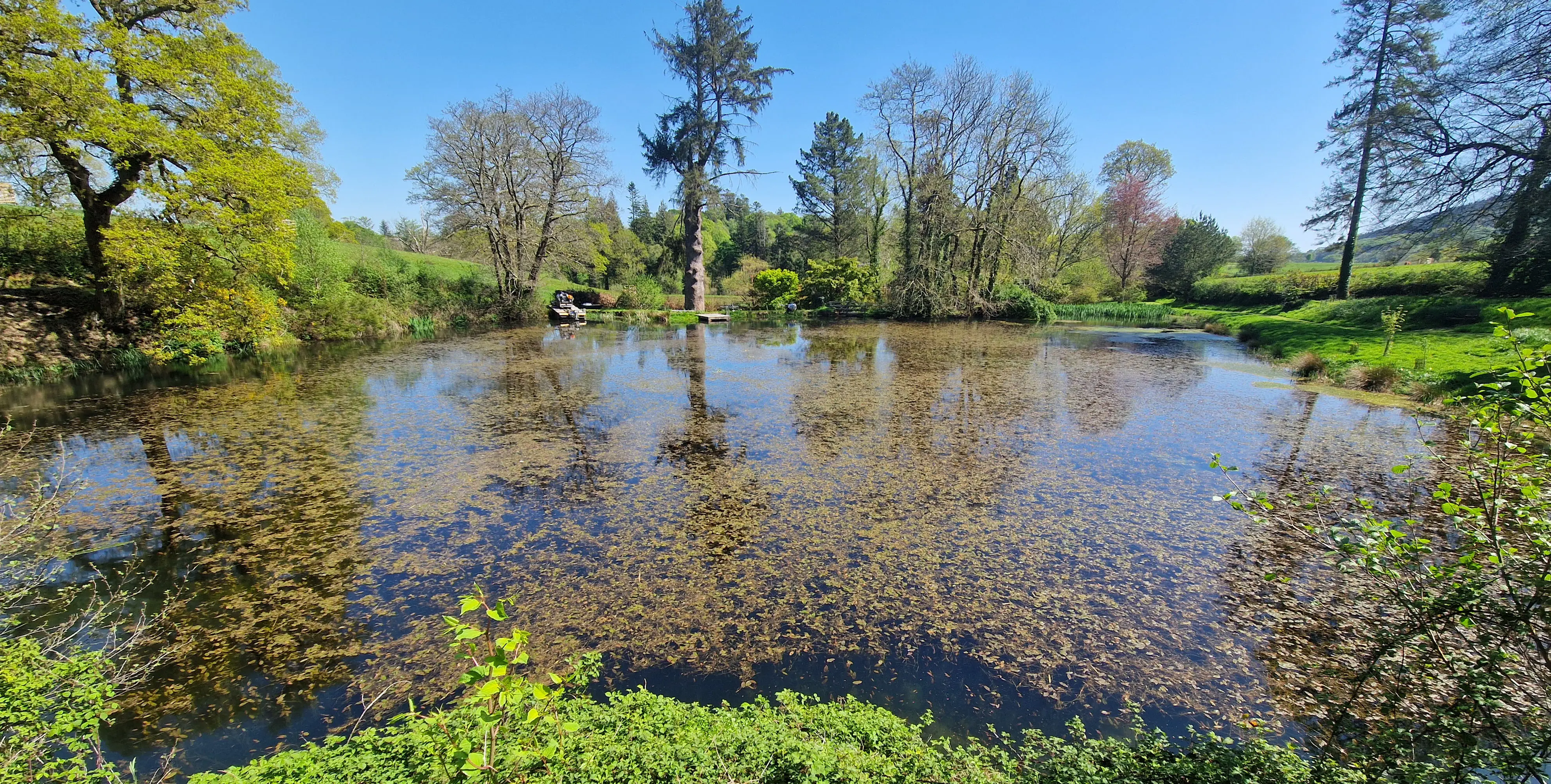Before carrying out aquatic weed cutting on a private lake