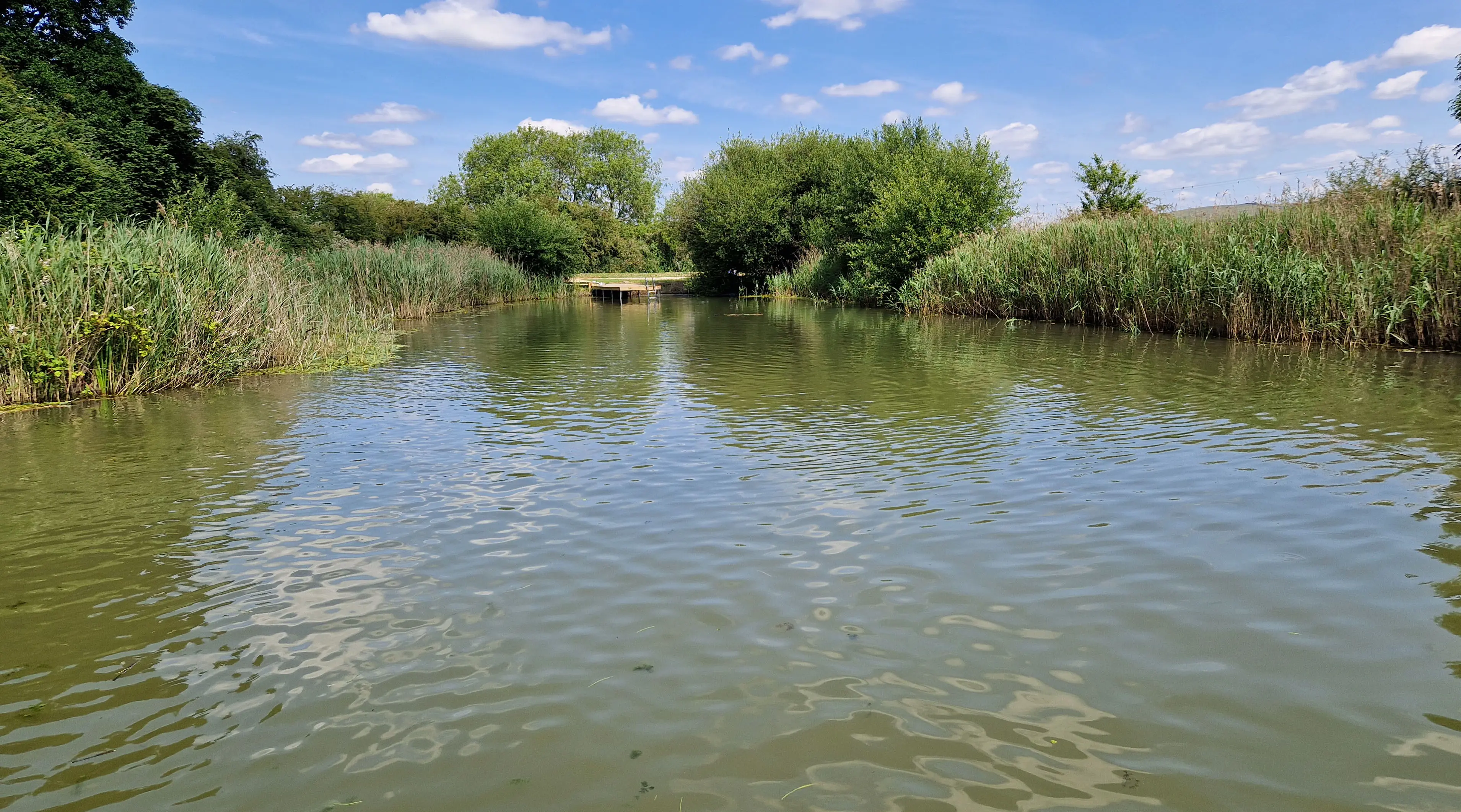 Watercourse after invasive vegetation has been cut and cleared