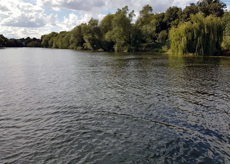 Dartford Fishery following algae removal