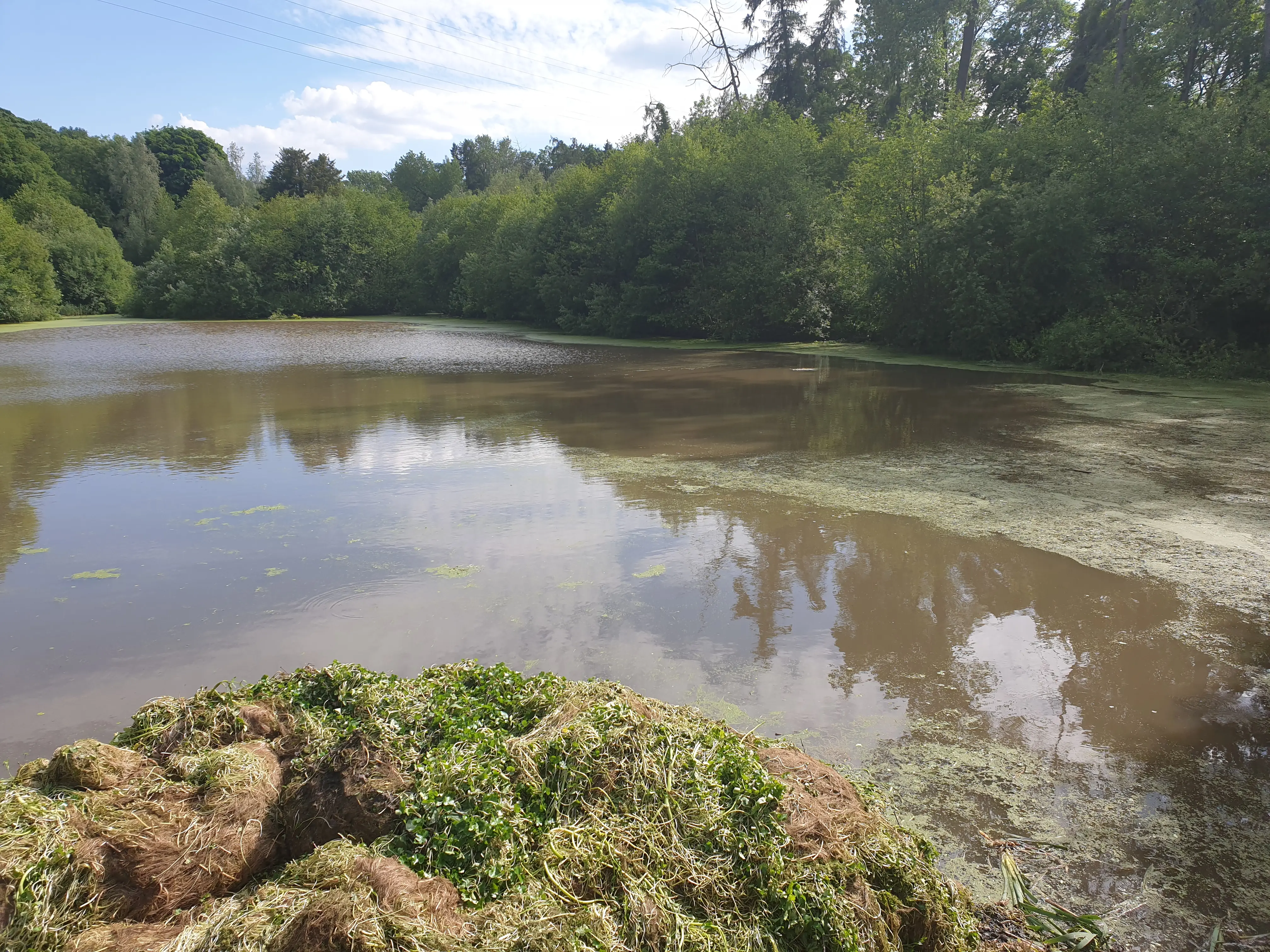 Enlarged fishery following vegetation clearance and excavation