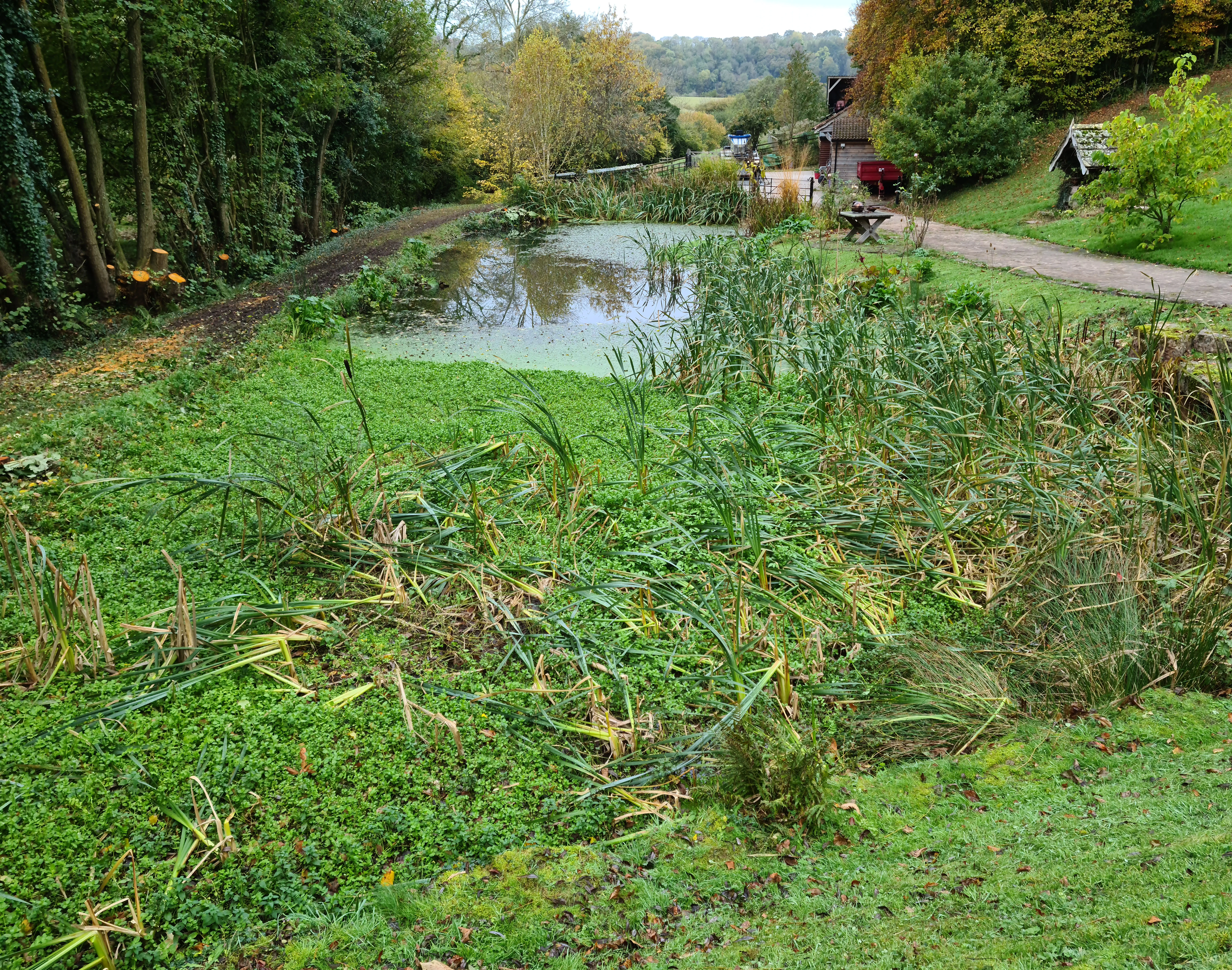 Private pond before habitat creation and excavation