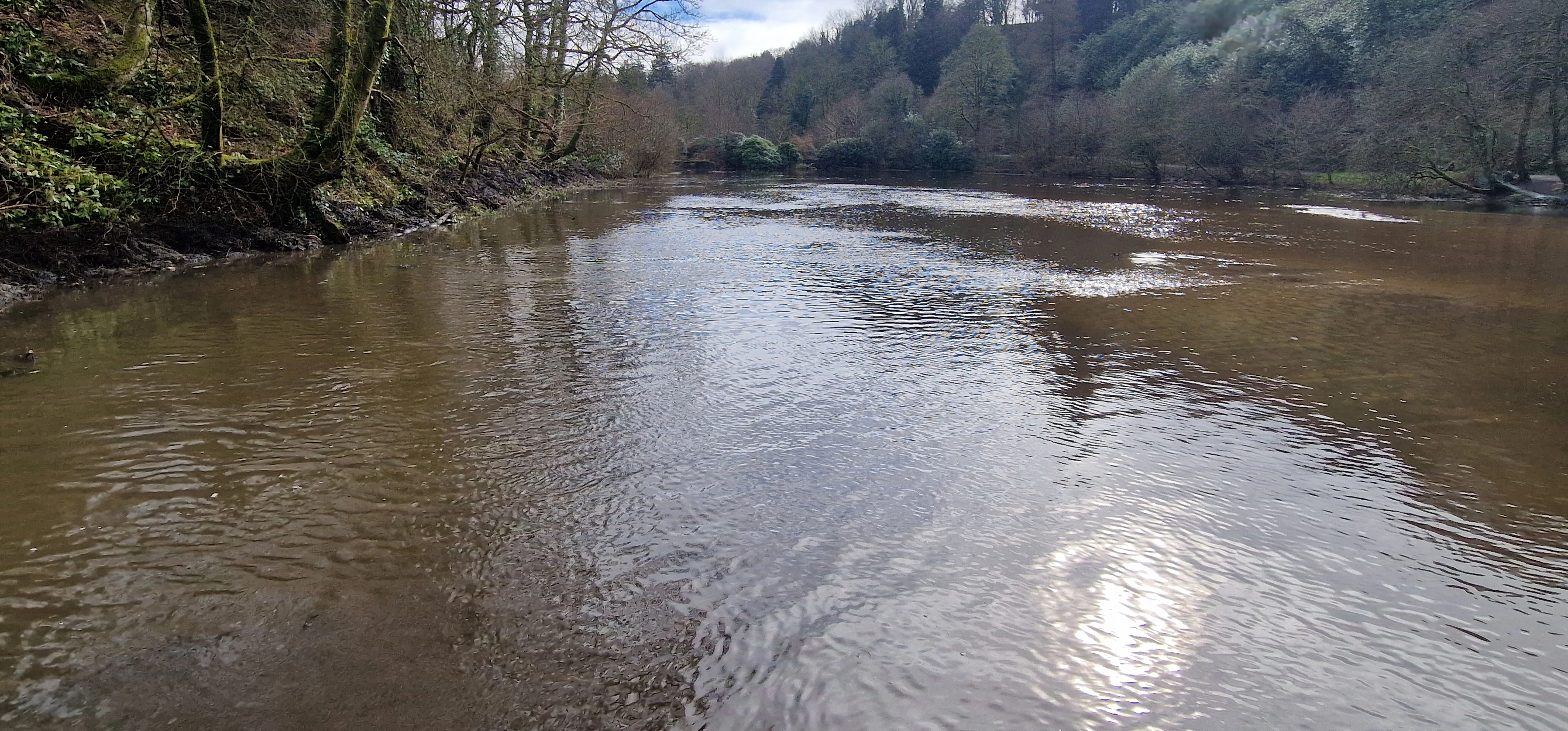 River section following sediment and vegetation clearance