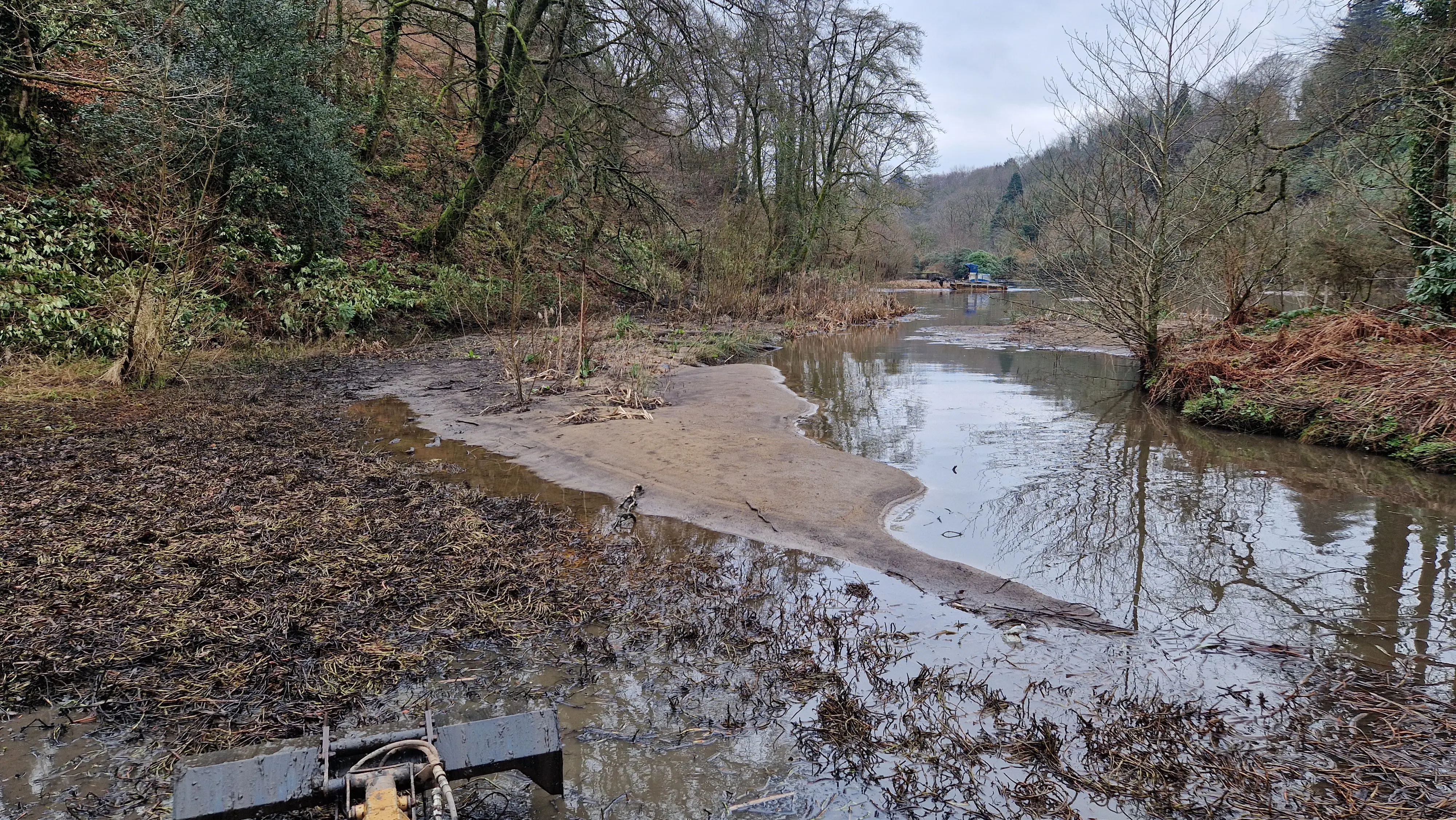 Overgrown shallow section of river before excavation