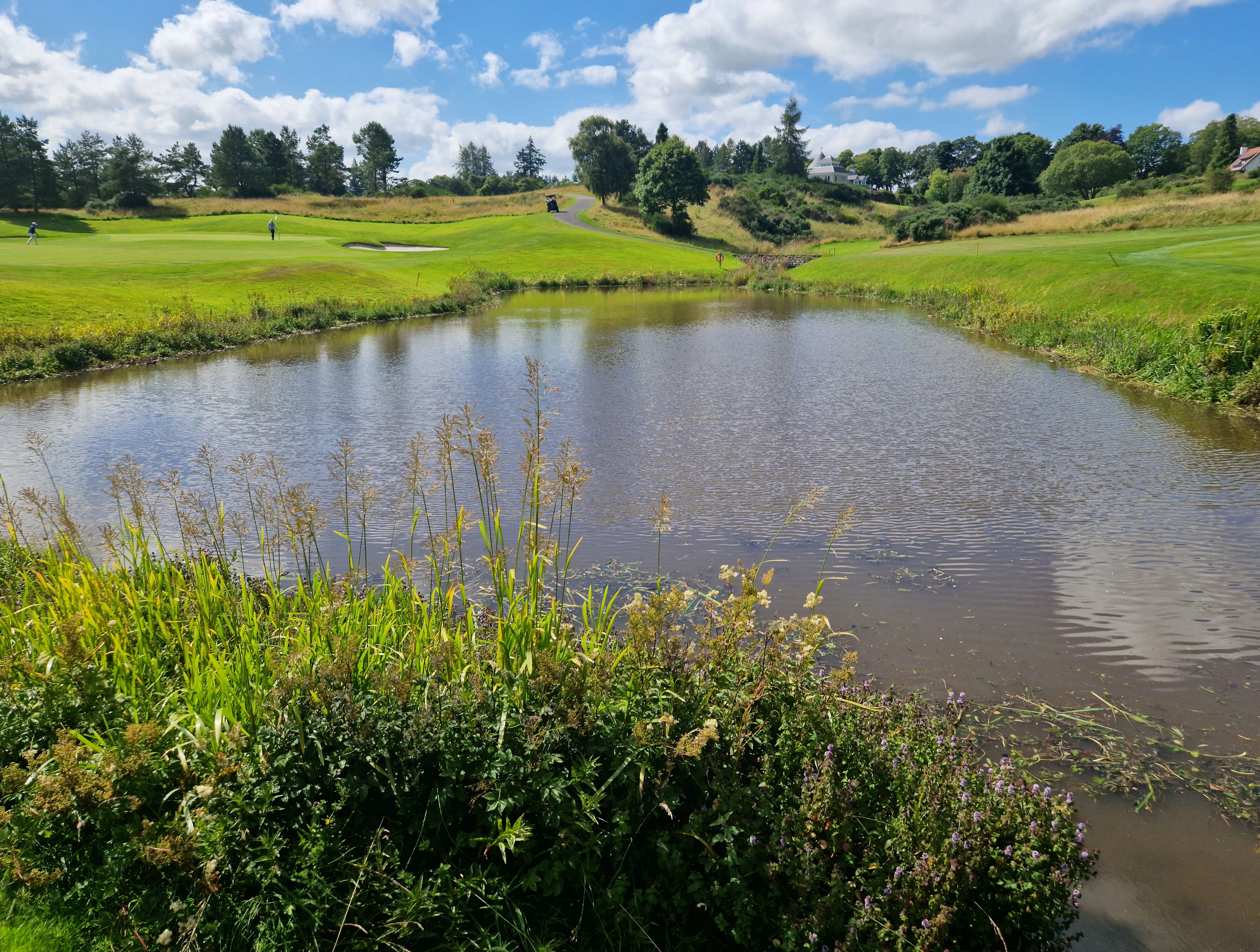 Restored open water following extensive aquatic weed removal