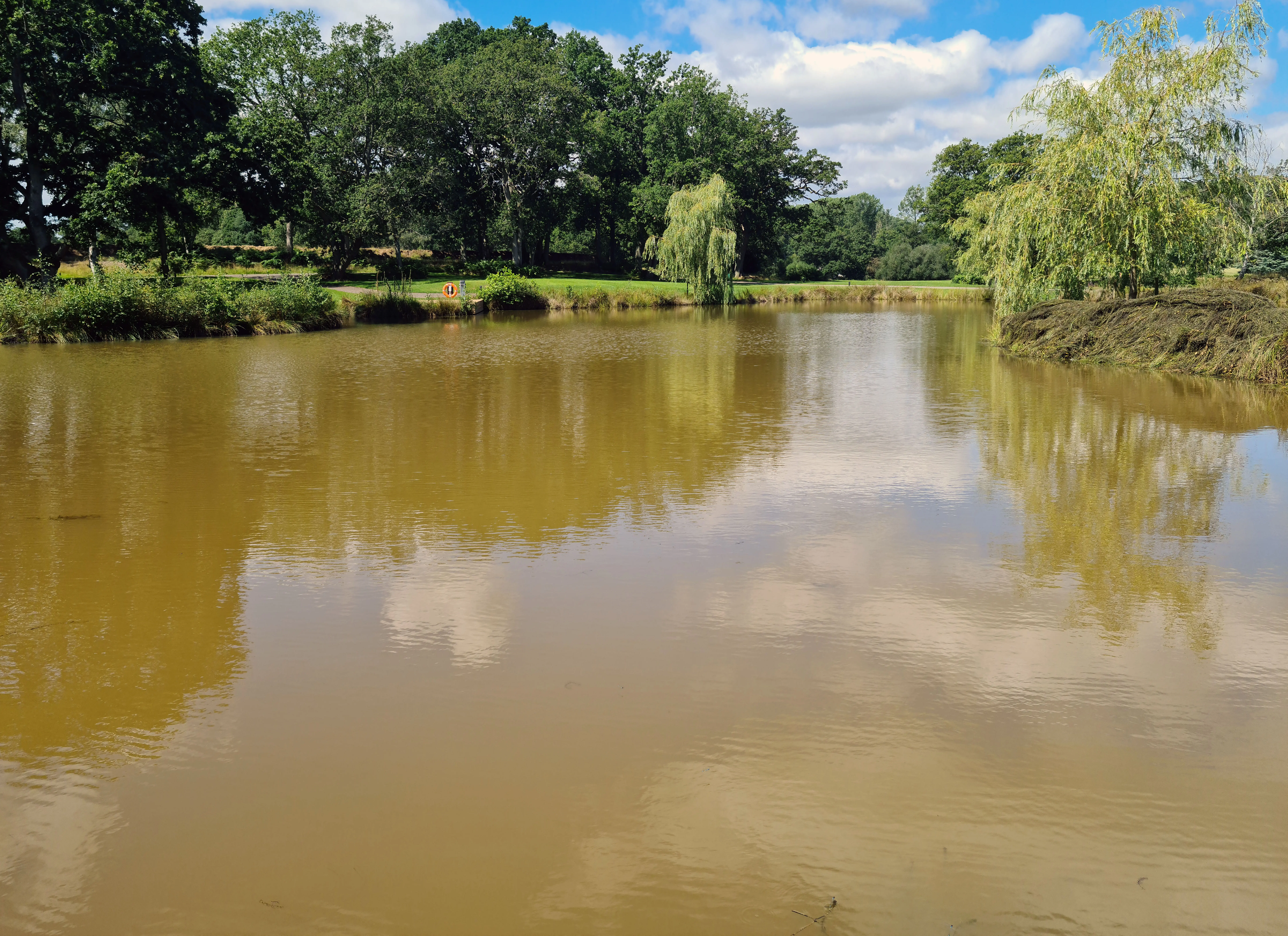 Golf course pond following broadleaf weed removal