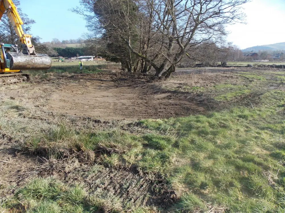 Newly created wetland scrapes providing habitat for wading birds and wildlife