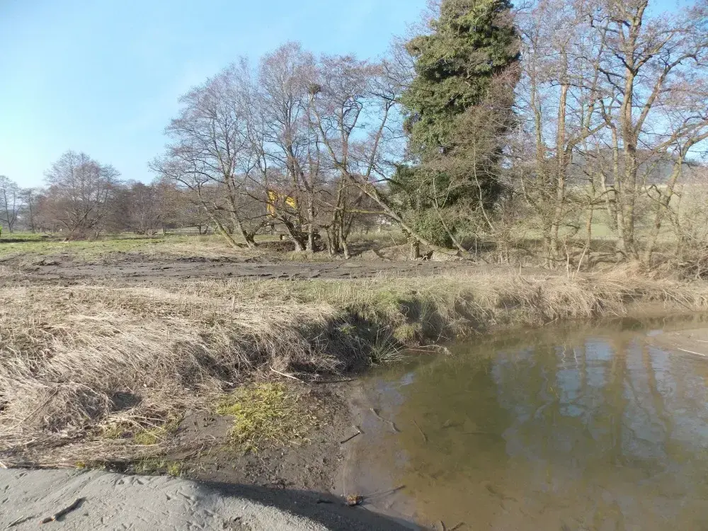 After habitat creation in Mill Pond