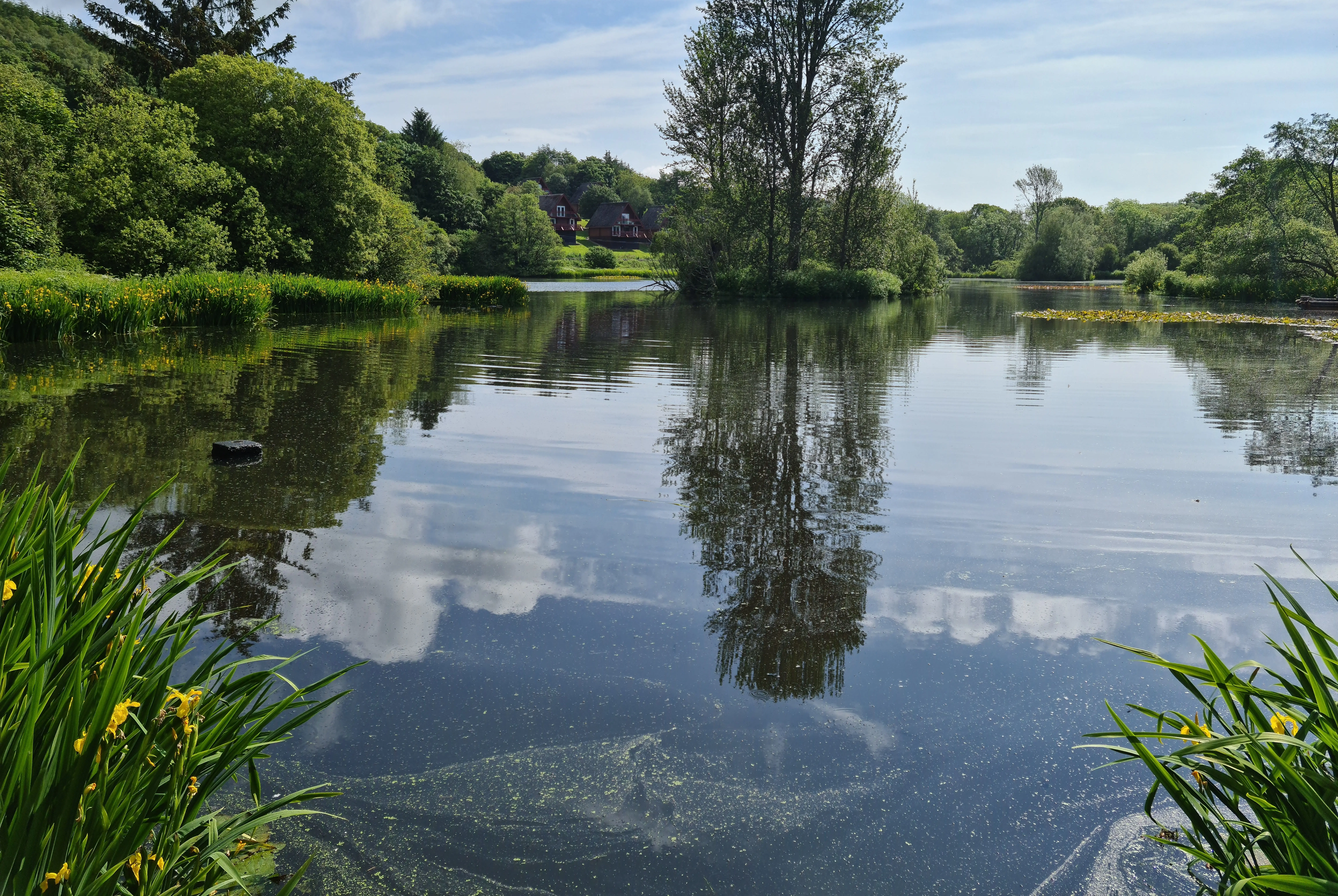 Watercourse following further invasive vegetation management