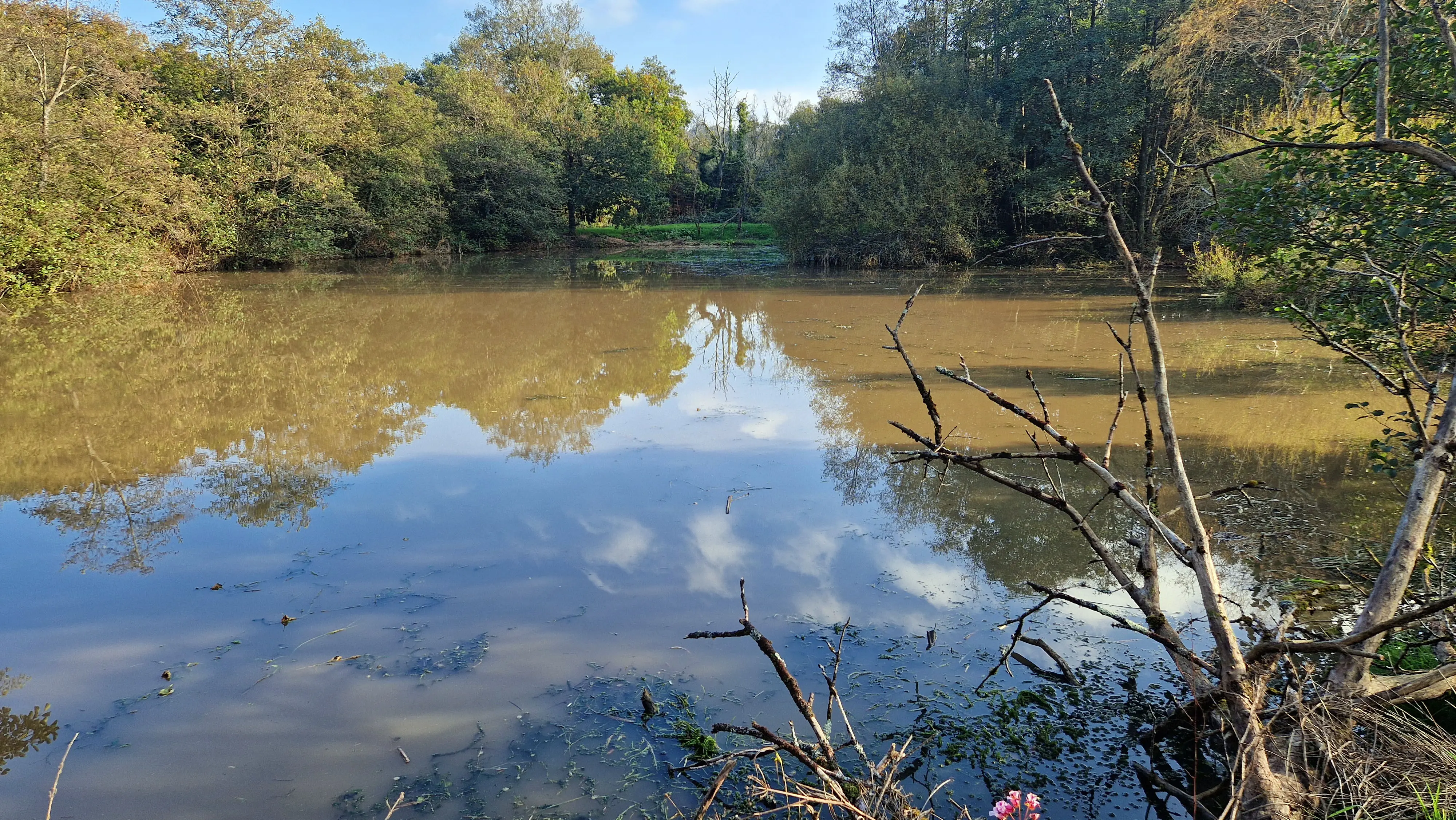 Cleared watercourse following invasive vegetation removal