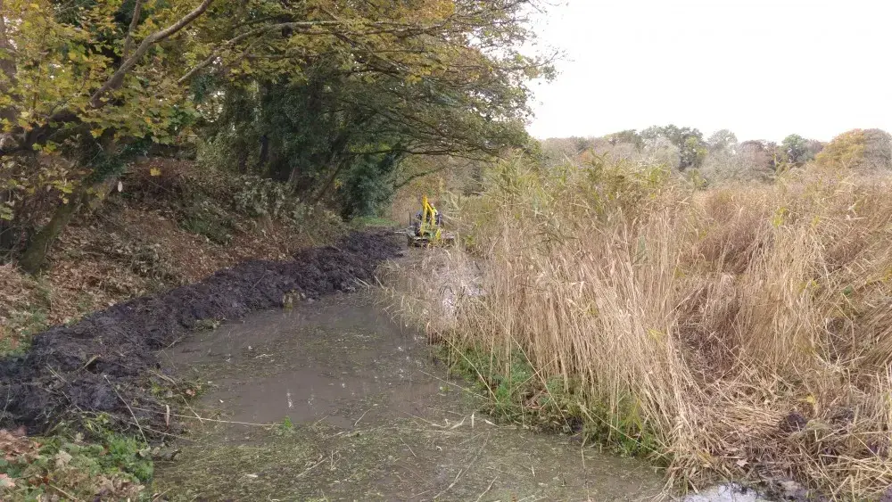 After habitat creation in Mill Pond