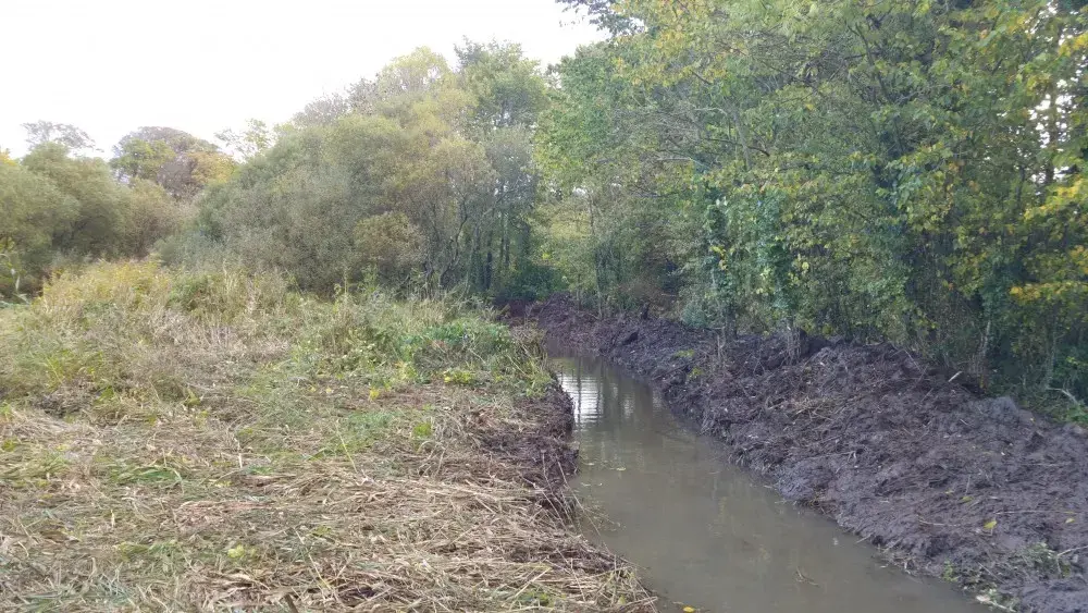After habitat creation in Mill Pond