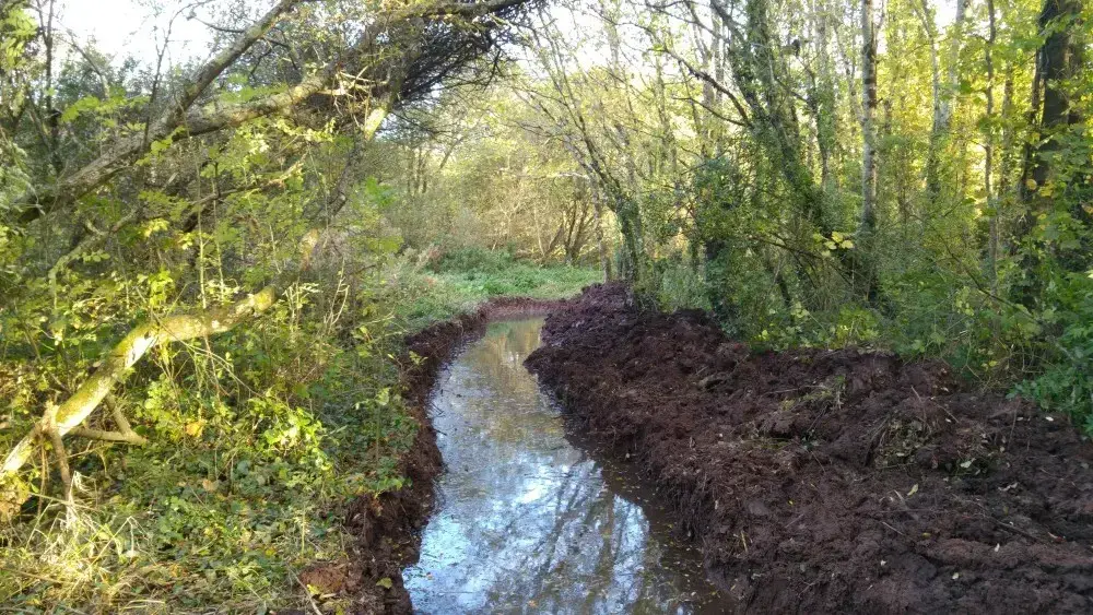 After habitat creation in Mill Pond