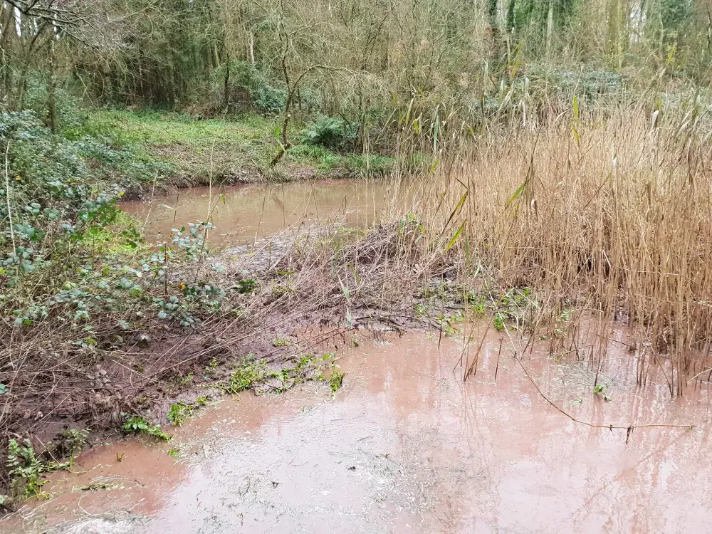 Private Pond Desilting in Preston