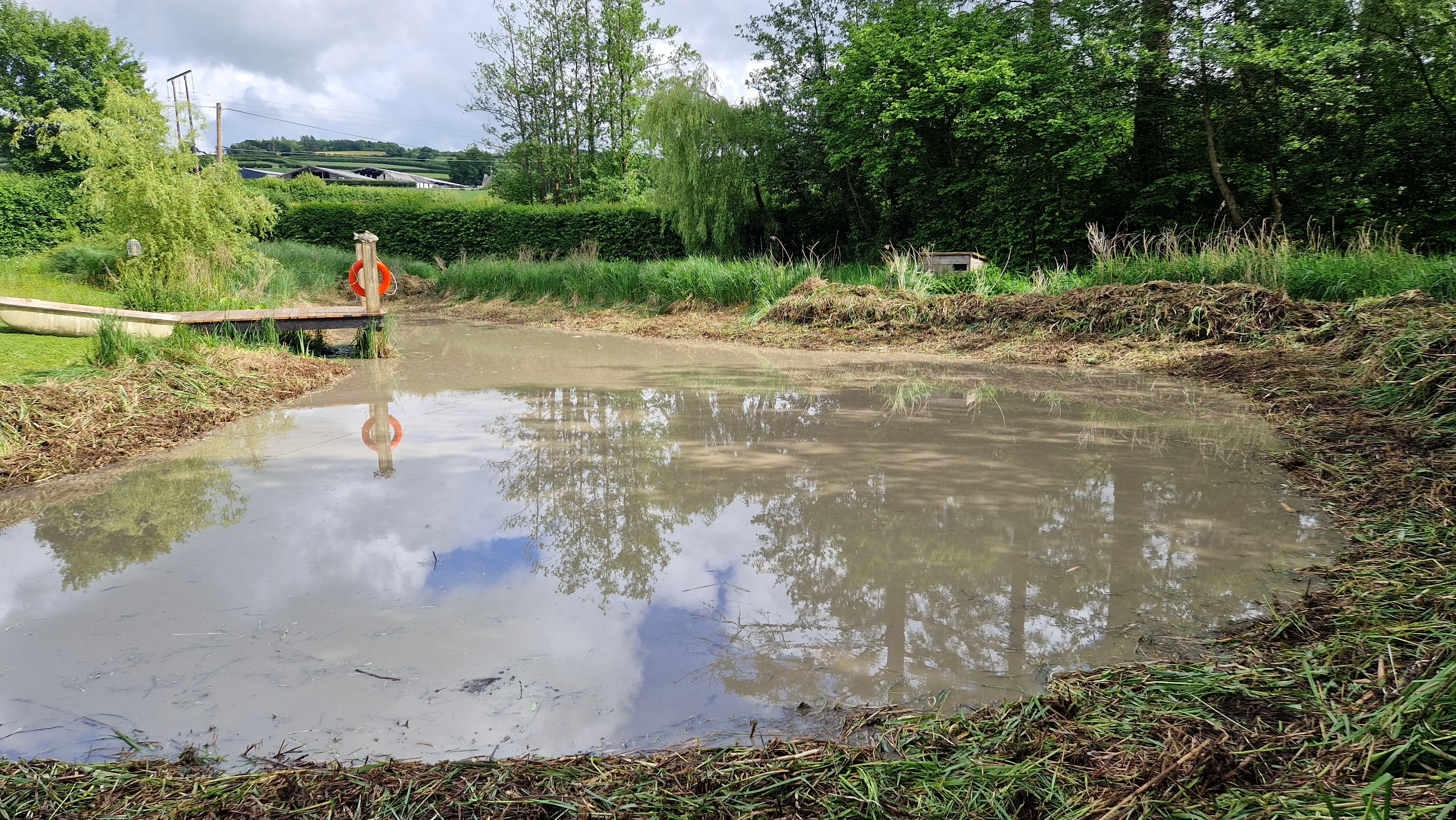 Pond after