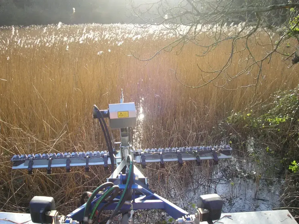Reed clearance being carried out within a National Trust wetland