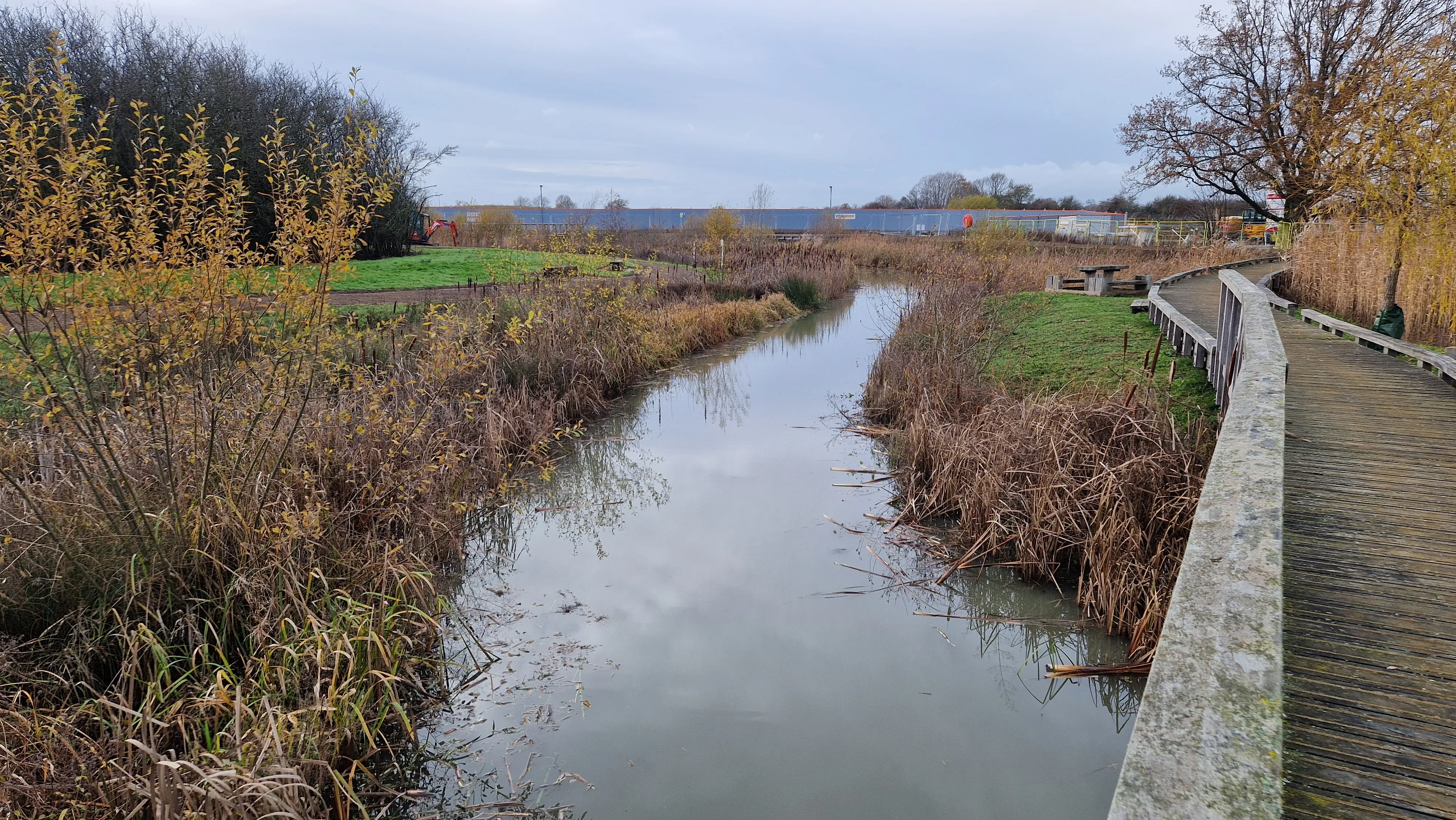 Cleared SuDS waterbody following bulrush removal